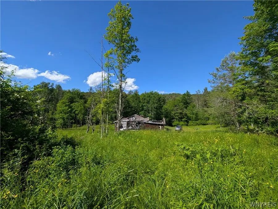5499 Bryant Hill Road, Ellicottville, NY 14731 - #3
