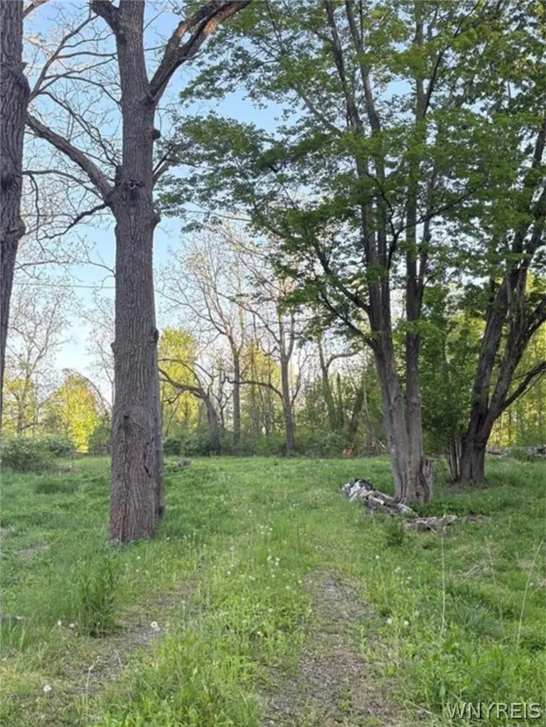 1441 Sturgeon Point Road, Derby, NY 14047 - #1
