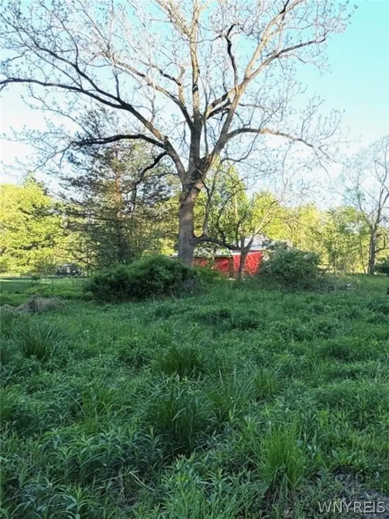 1441 Sturgeon Point Road, Derby, NY 14047 - #2