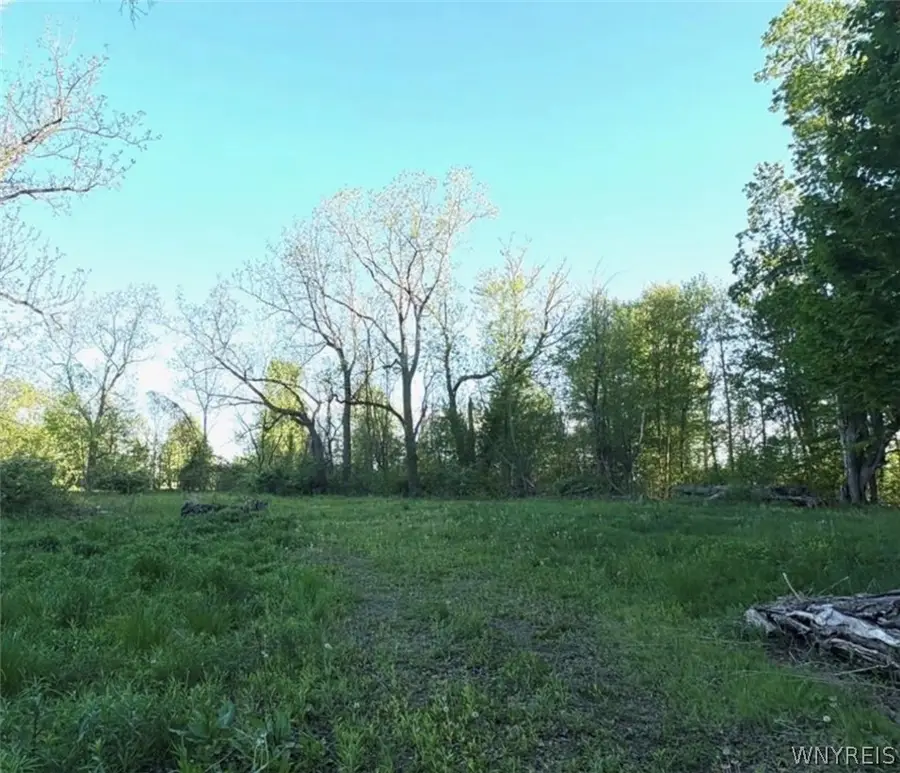 1441 Sturgeon Point Road, Derby, NY 14047 - #3