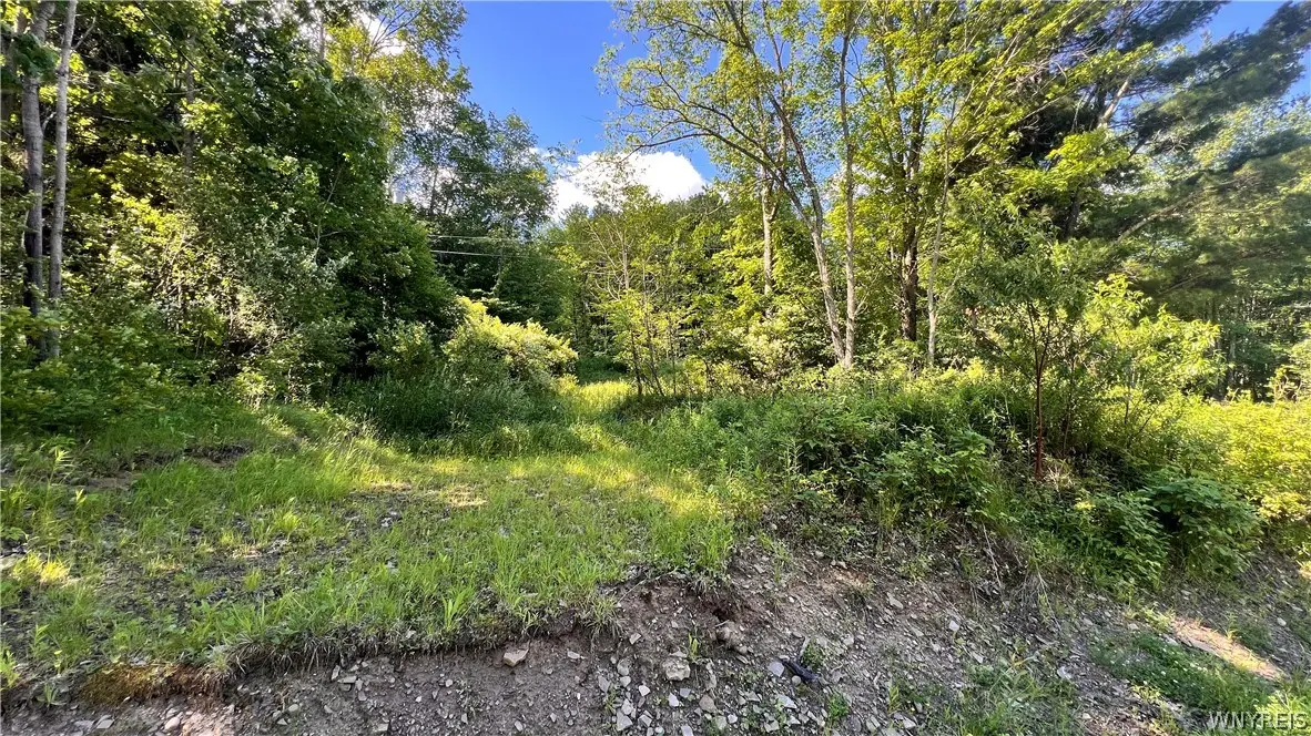 Cherry Valley Road, Allegany, NY 14706 - #1