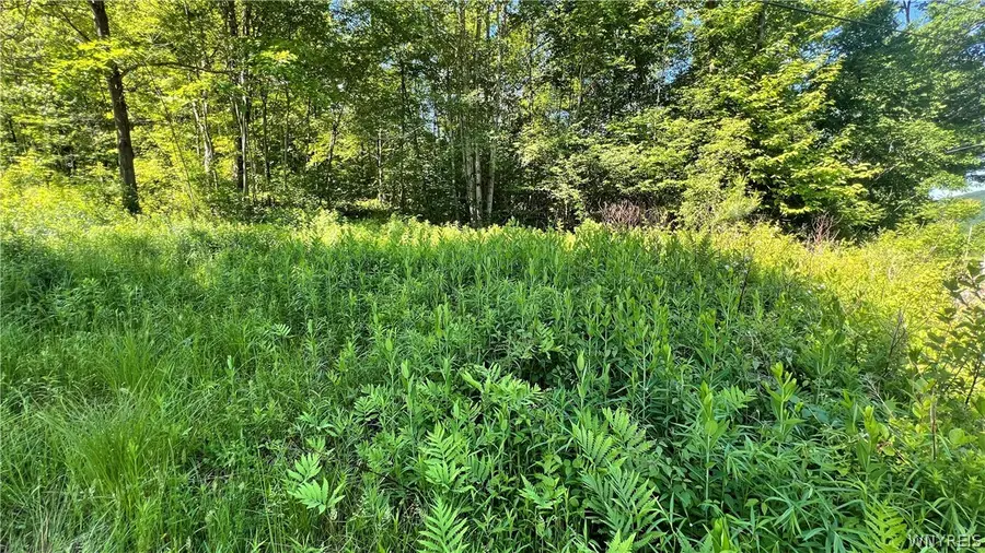 Cherry Valley Road, Allegany, NY 14706 - #3