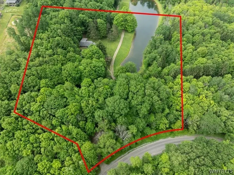 7483 Monk Hill Road, East Otto, NY 14729 - #3