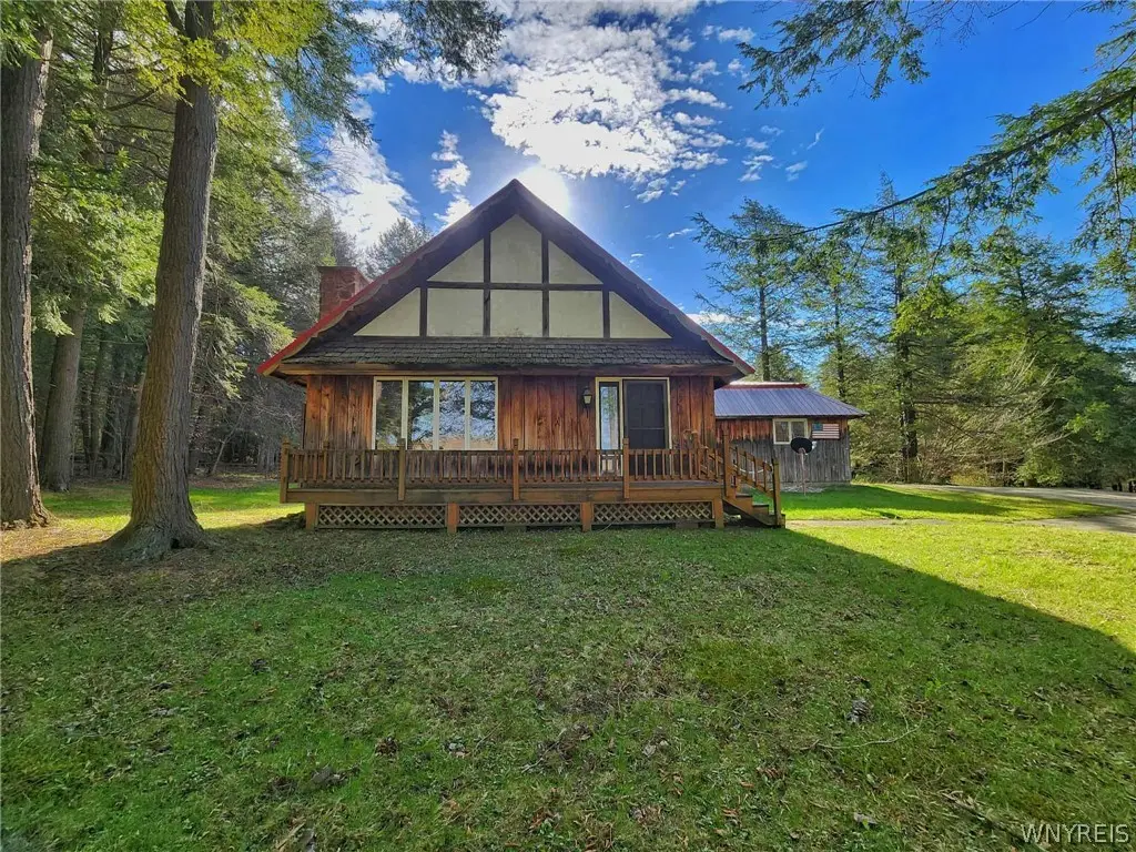 4924 Lower Edgar Road, Little Valley, NY 14755 - #1