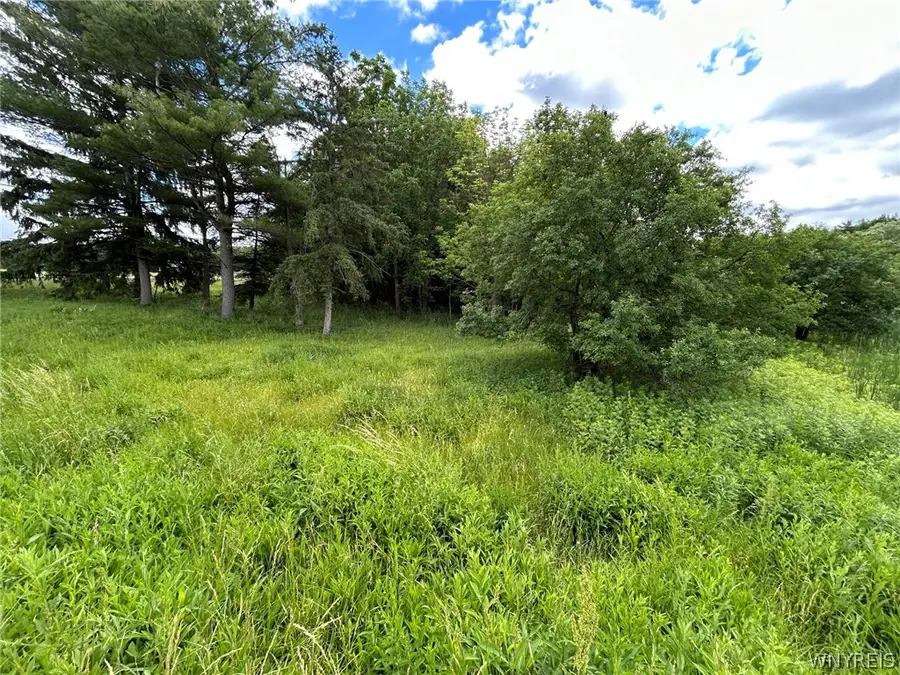 5131 State Route 21, Canandaigua, NY 14424 - #2