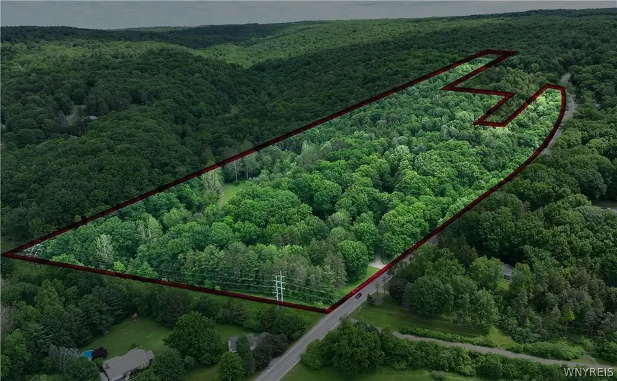 6415 Omphalius Road, Colden, NY 14033 - #3