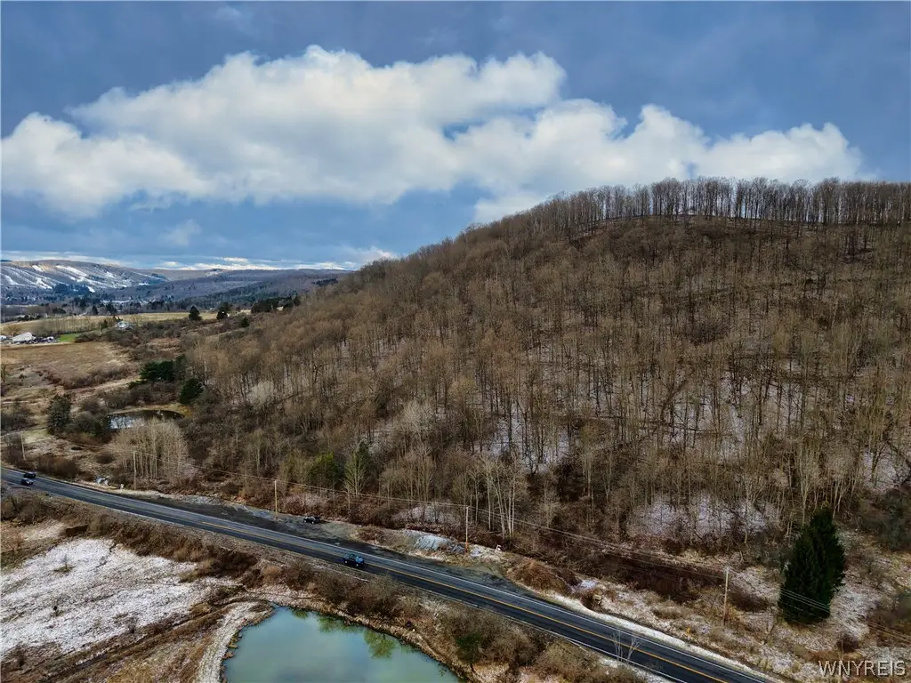 6020 Nys Rte 242 Lot #5, Ellicottville, NY 14731 - #1