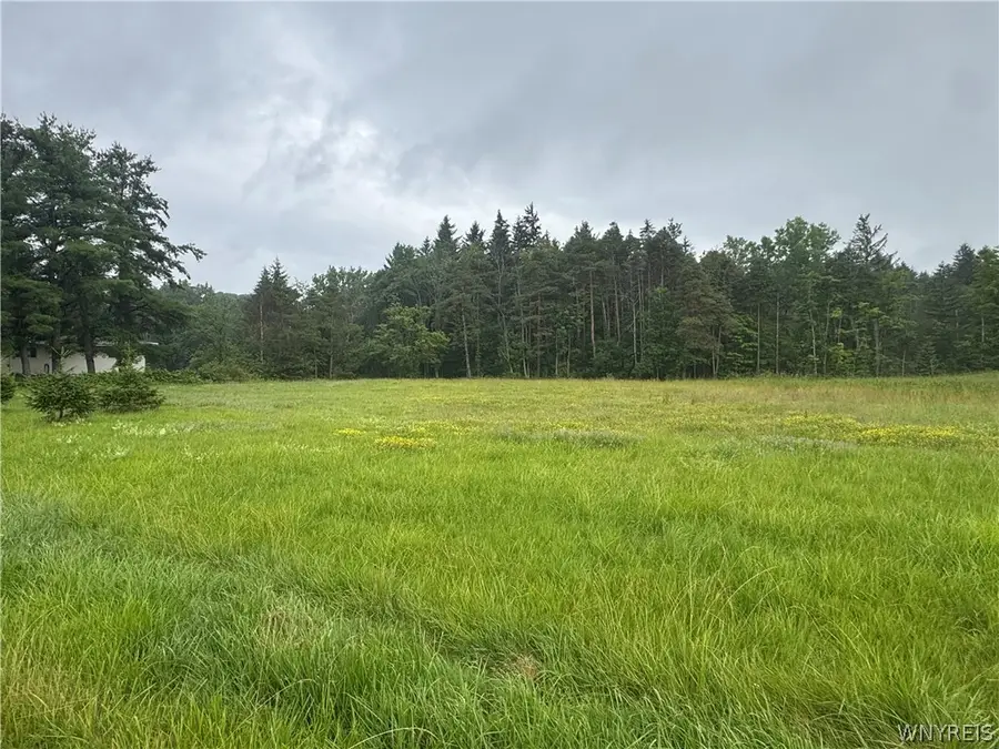 2630 Attica Road, Alexander, NY 14005 - #2
