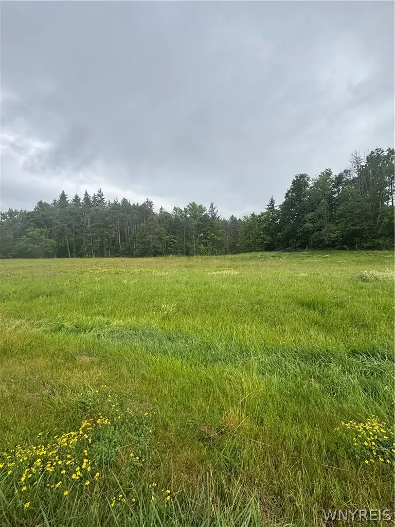 2630 Attica Road, Alexander, NY 14005 - #3