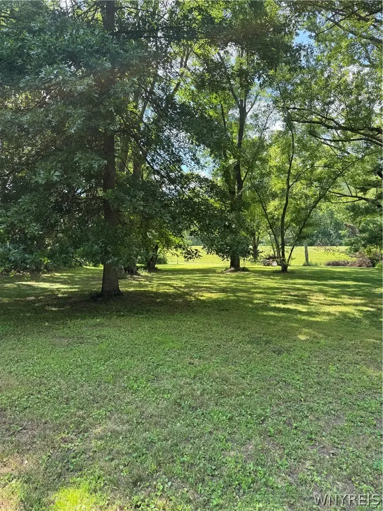 56 Pine Street, Portville, NY 14770 - #3
