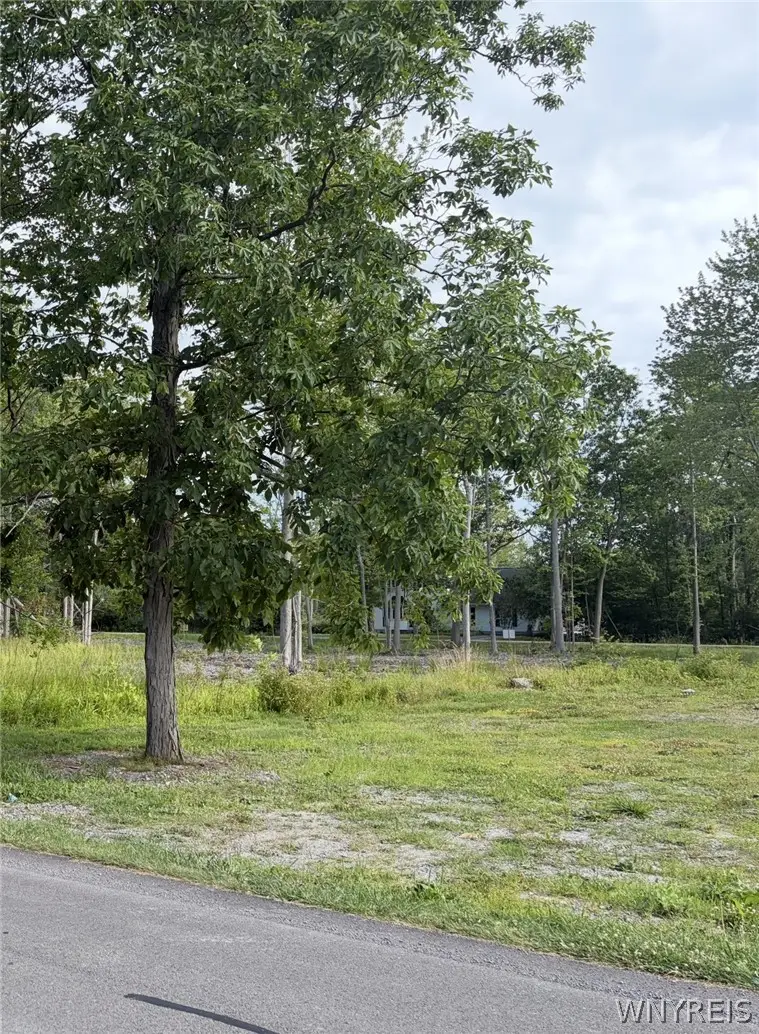 337 Kennedy Avenue, Angola, NY 14006 - #1