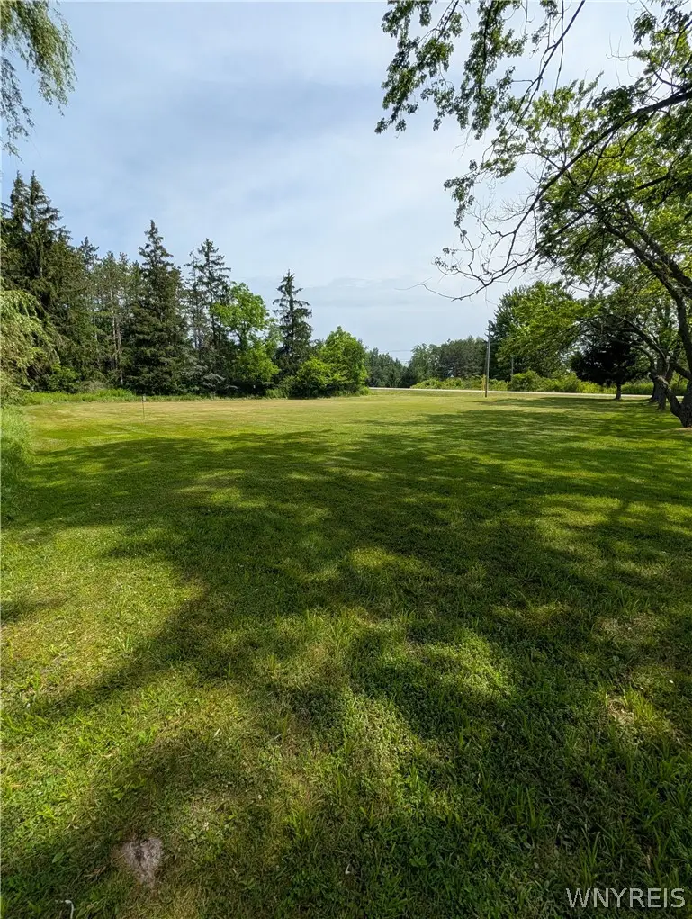 11592 Moore Road, Springville, NY 14141 - #3