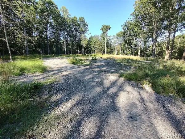 Beach Road #207, Angola, NY 14006