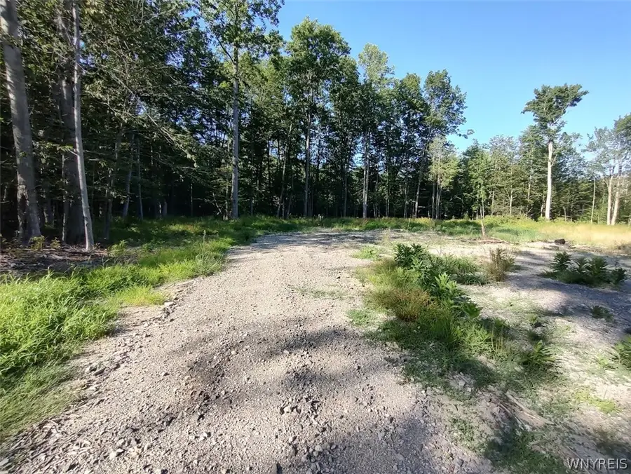 Beach Road #207, Angola, NY 14006 - #3