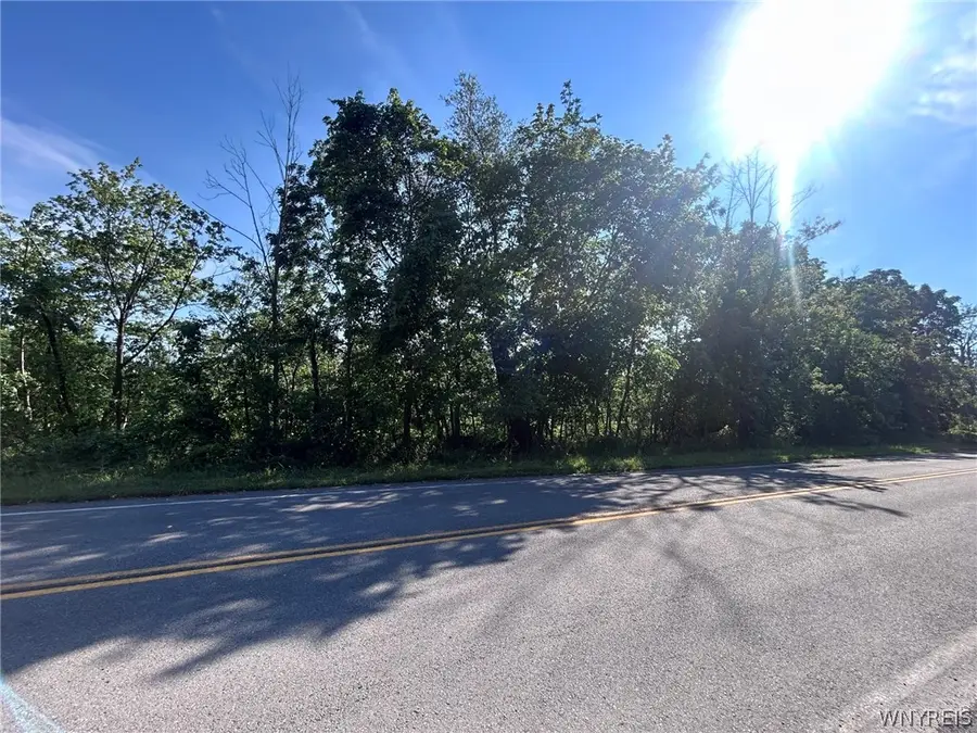 171 N Ellicott Creek Road, Buffalo, NY 14228 - #2