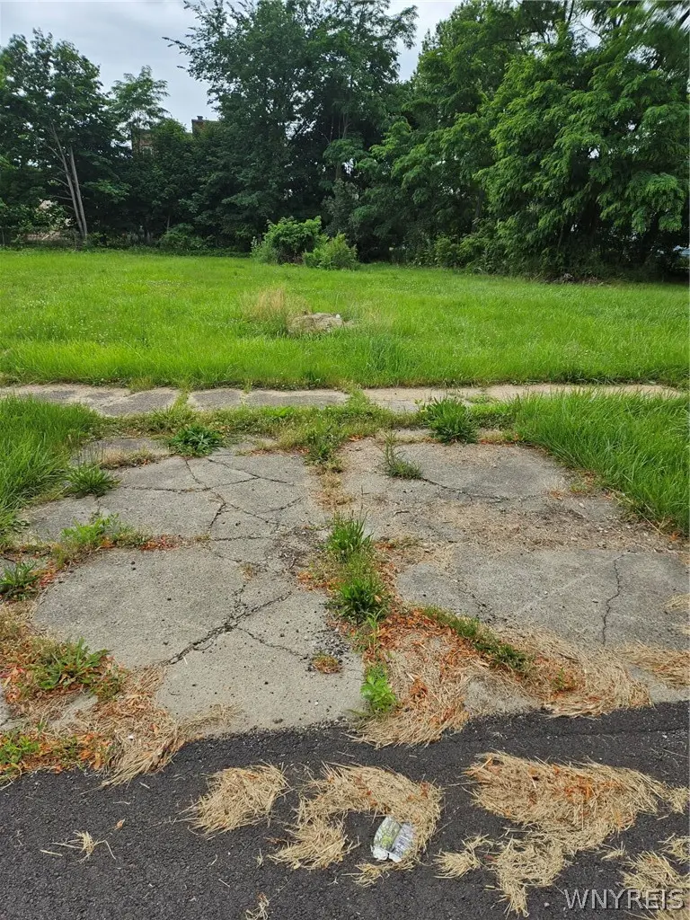 422 Hickory Street, Buffalo, NY 14204 - #2