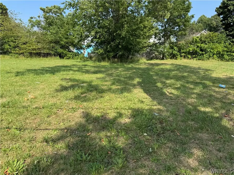 217 Madison Street, Buffalo, NY 14206 - #2