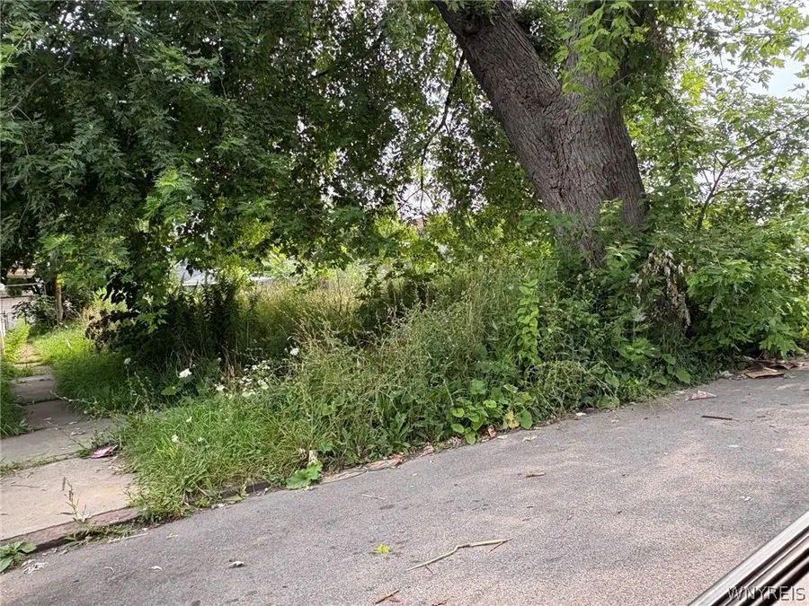 1119 La Salle Avenue, Niagara Falls, NY 14301 - #2