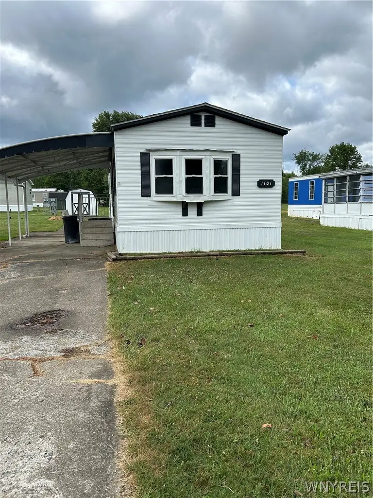 1101 Michael Drive, Angola, NY 14006 - #1