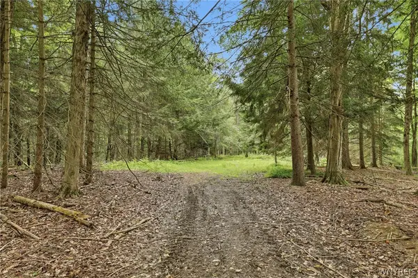 10788 Partridge Road, Holland, NY 14080