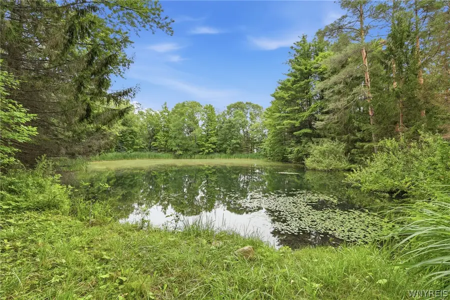 10788 Partridge Road, Holland, NY 14080 - #2