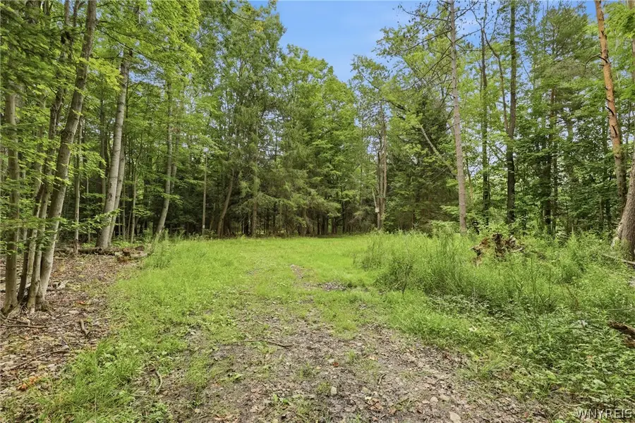 10788 Partridge Road, Holland, NY 14080 - #3