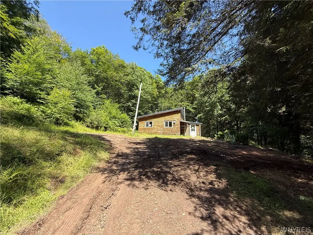 951 Long Hollow Road, Olean, NY 14760 - #1