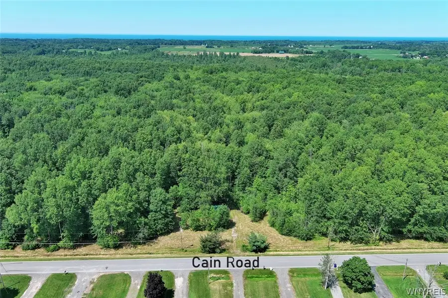 Cain Road N, Youngstown, NY 14174 - #3