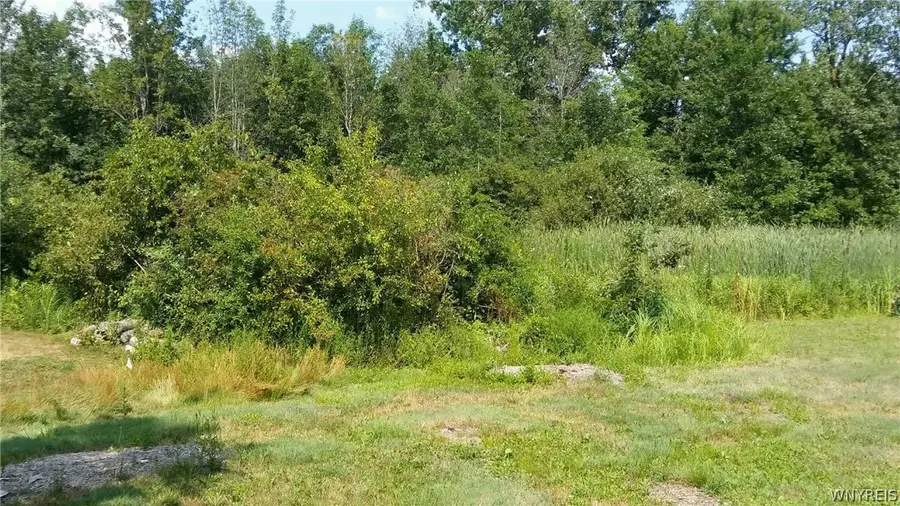 Meadowbrook Parkway N, Hamburg, NY 14075 - #2