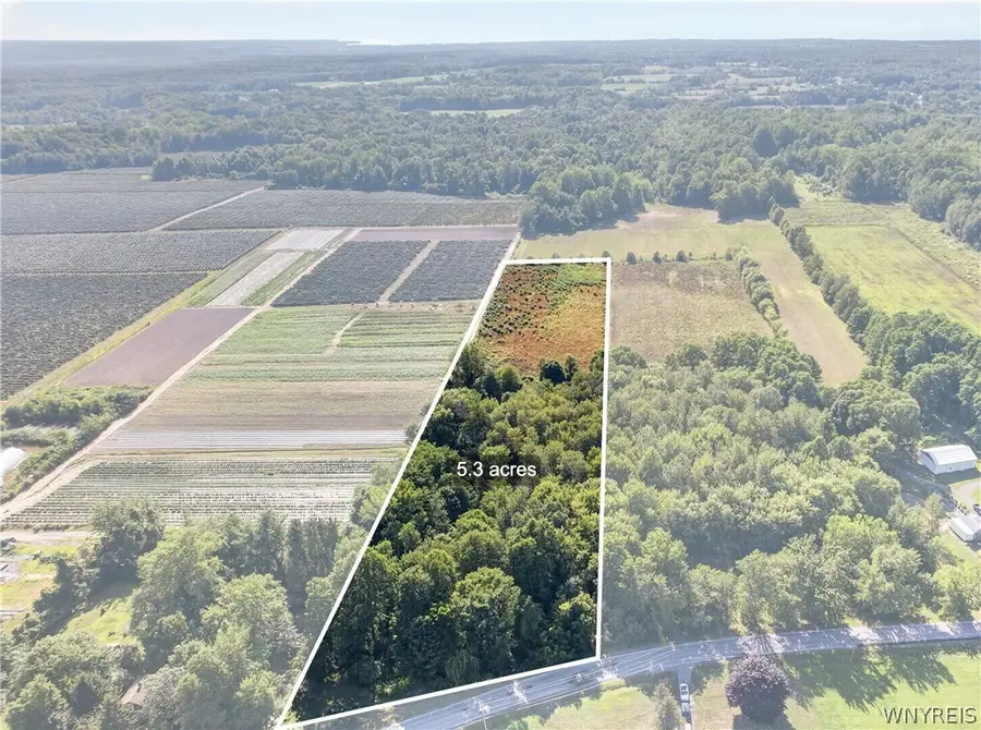 Brant Reserv Road, Brant, NY 14027 - #3