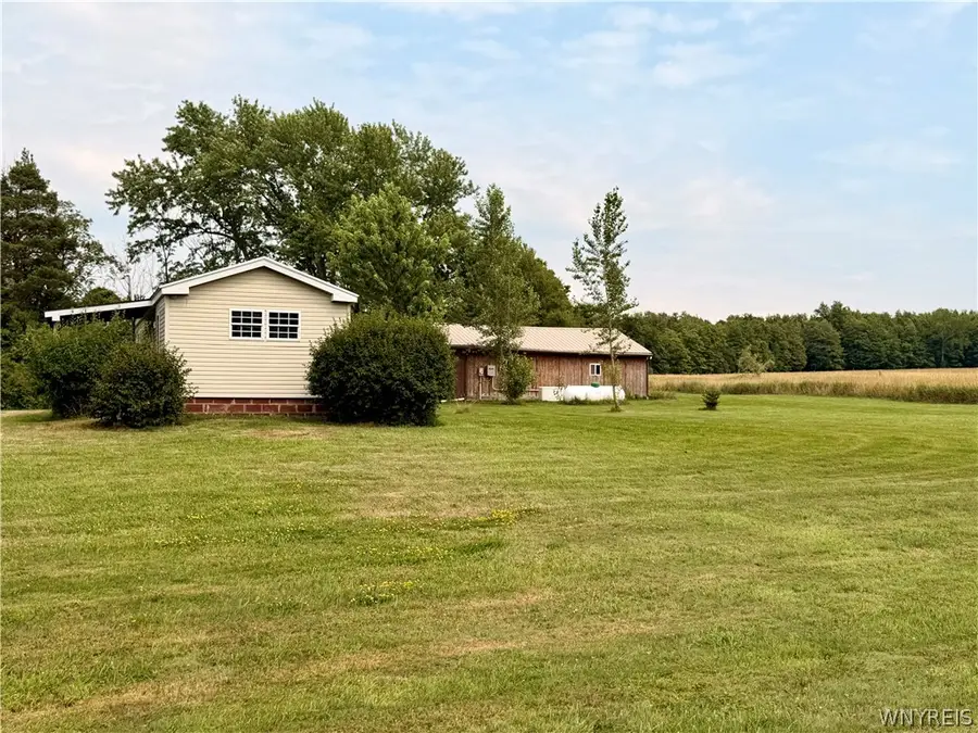 893 Waterman Road, Forestville, NY 14062 - #3