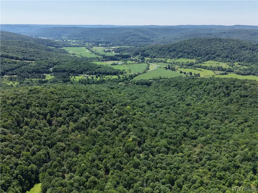Dublin Hills Rd Road, Salamanca, NY 14779 - #2