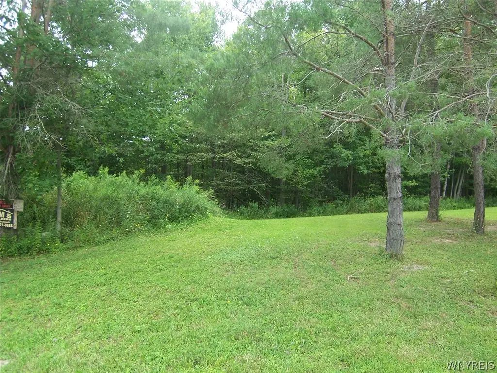 0 Colony Run, Alexander, NY 14005 - #1