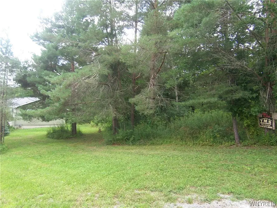 0 Colony Run, Alexander, NY 14005 - #2