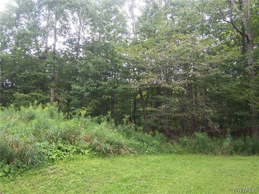 0 Colony Run, Alexander, NY 14005 - #3