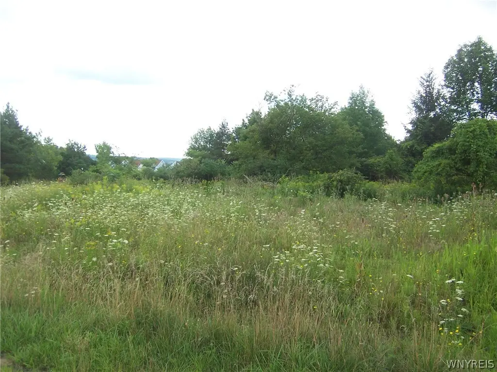 0 Colony Run, Alexander, NY 14005 - #1