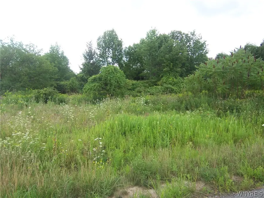 0 Colony Run, Alexander, NY 14005 - #2
