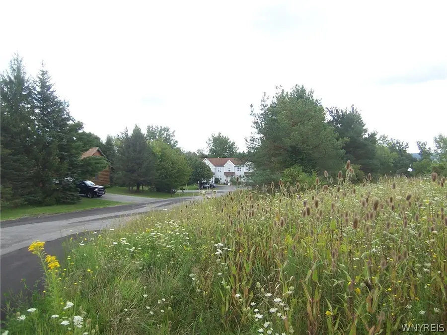 0 Colony Run, Alexander, NY 14005 - #3