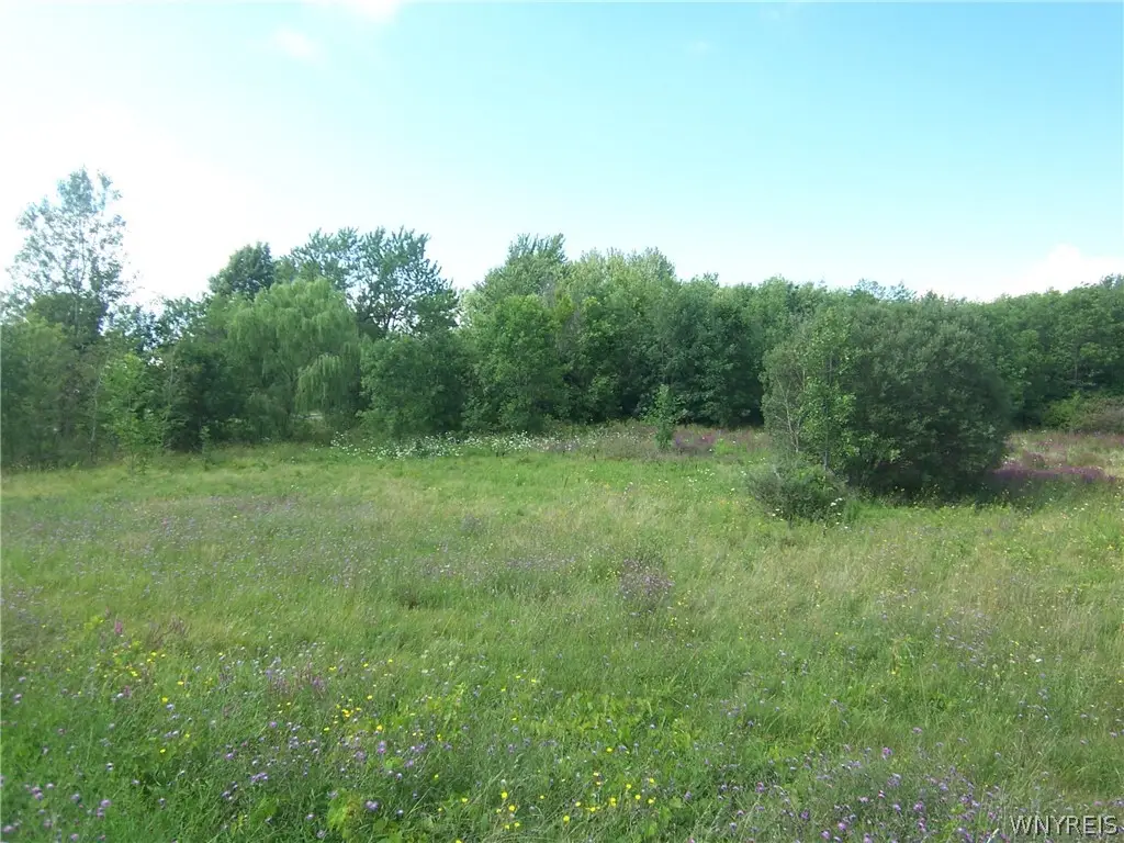 V/L Broadway Road, Darien Center, NY 14040 - #1