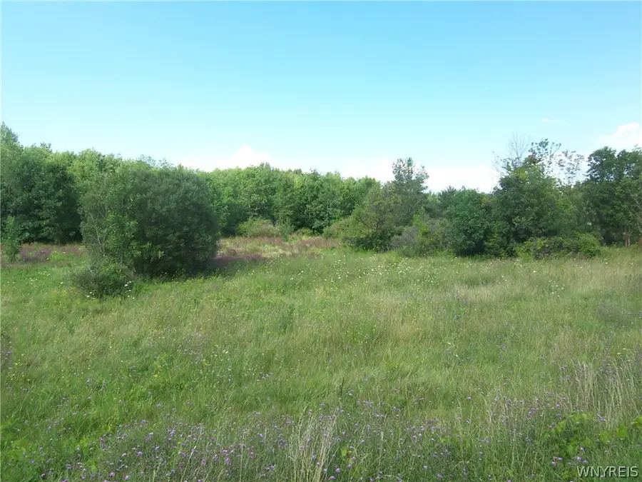 V/L Broadway Road, Darien Center, NY 14040 - #2