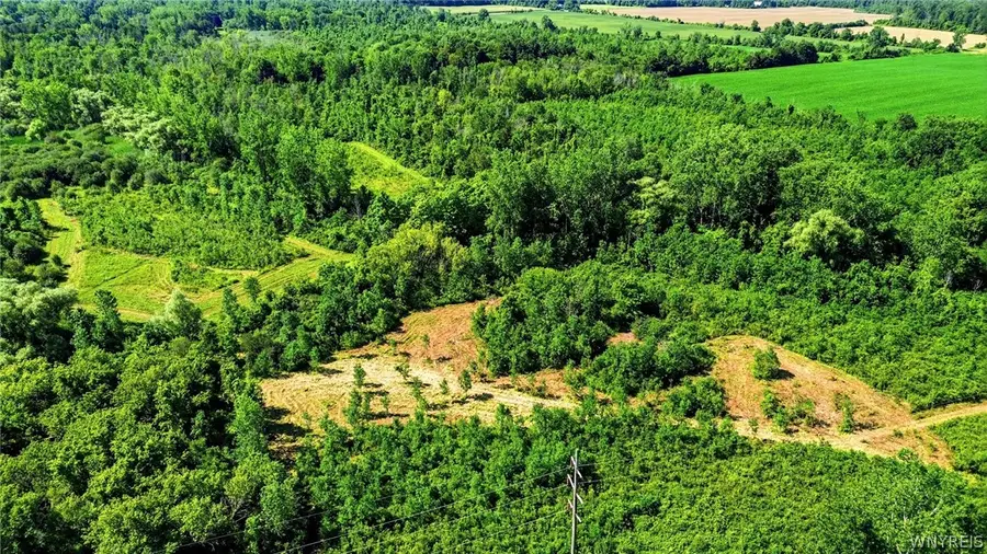 00 Barnum Rd Lot #1, Akron, NY 14001 - #3