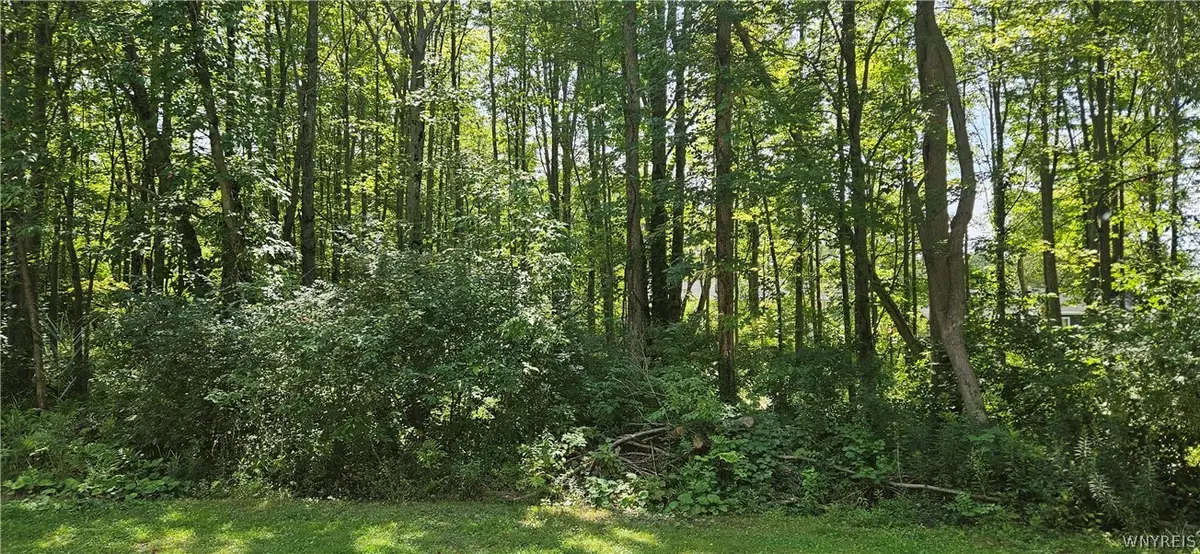 Adams Avenue, Angola, NY 14006 - #1