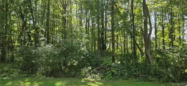Adams Avenue, Angola, NY 14006