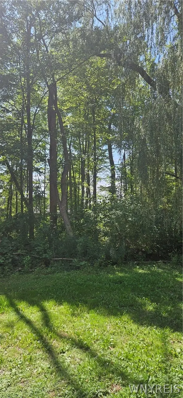 Adams Avenue, Angola, NY 14006 - #3