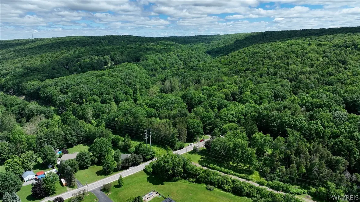 6383 Omphalius Road, Colden, NY 14033 - #1