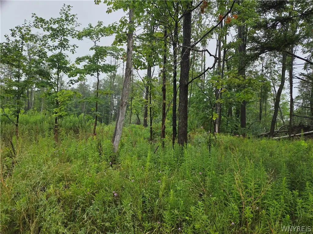 Lot 1 Darien Road, Colden, NY 14033 - #1