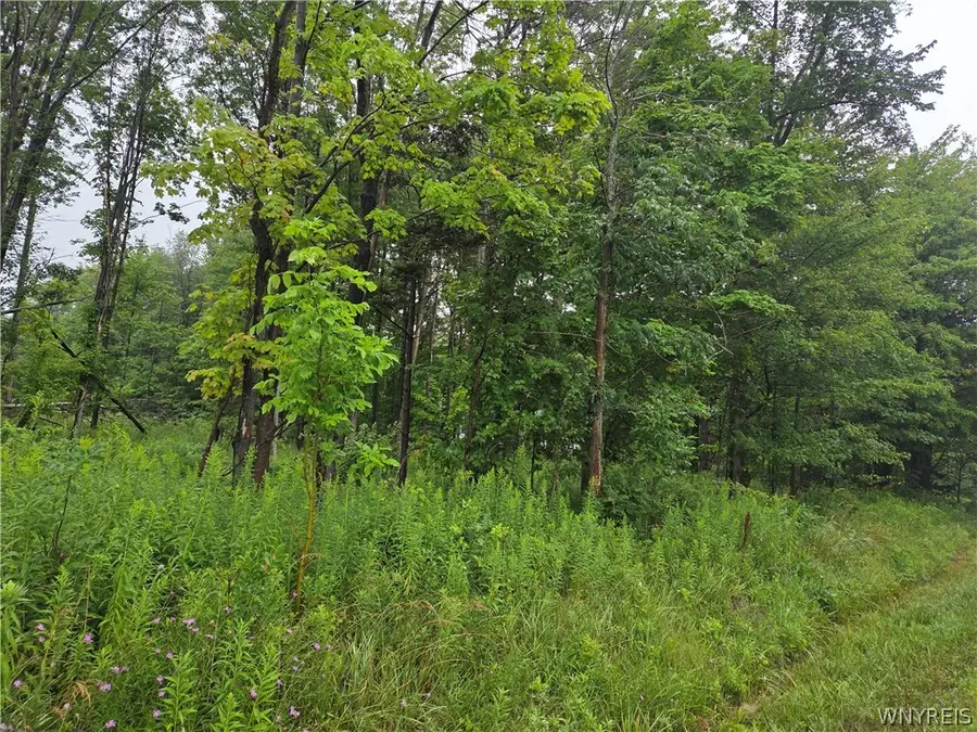 Lot 1 Darien Road, Colden, NY 14033 - #2