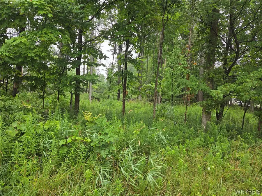 Lot 1 Darien Road, Colden, NY 14033 - #3