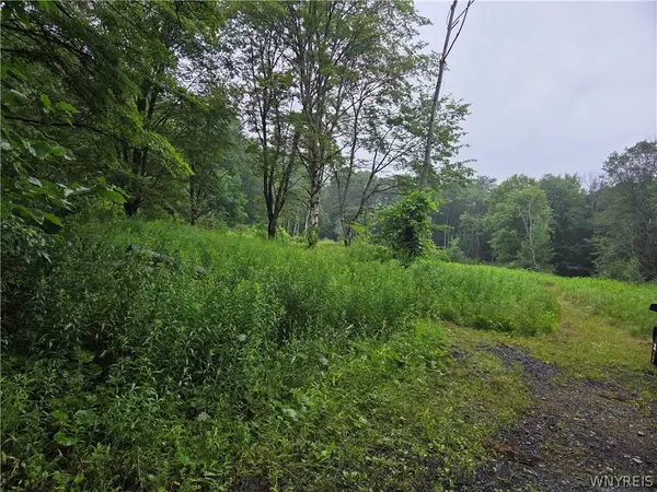 Warner Gulf Road, Holland, NY 14080
