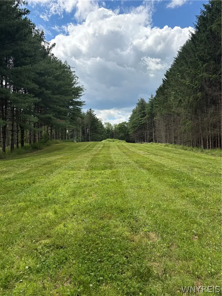 3939 Stalker Road, Macedon, NY 14502 - #1